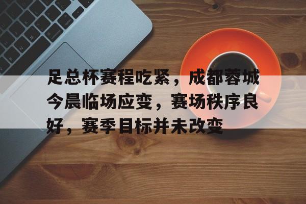 关于足总杯赛程吃紧，成都蓉城今晨临场应变，赛场秩序良好，赛季目标并未改变的信息-英雄联盟赛事